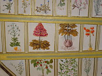 Chateau de Mauriac (53), Chambre de l'herbier, Plafond